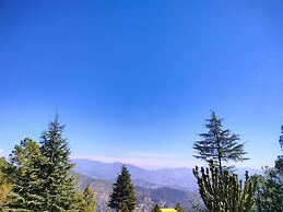 The Alpine Vista