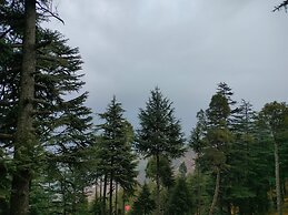 The Alpine Vista