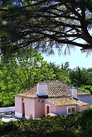 Pine Tree House in Azeit o