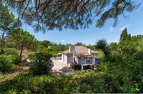 Pine Tree House in Azeit o