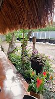 Hostal el refugio del tiburon