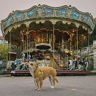 Montmartre Romantic