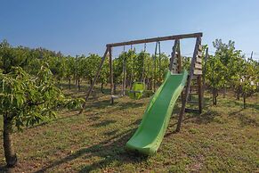 Vineyard Cottage Brodaric