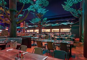 Great Wolf Lodge Mashantucket