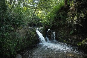 The Friendship Lane