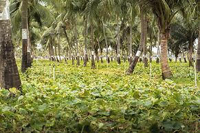 Roshanne Beach Resort