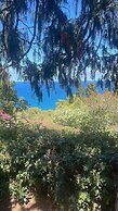 Bouganville Home Mondello