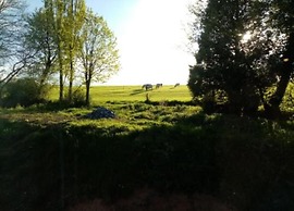 Beautiful Apartment Close to Durbuy