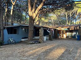Happy Camp in Selema Camping