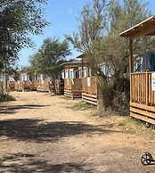 Happy Camp in Selema Camping