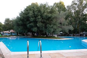 Happy Camp in Selema Camping