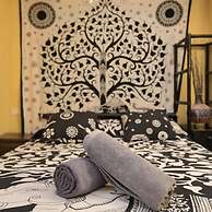 Los Amigos Nest Hostel