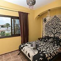 Los Amigos Nest Hostel