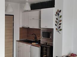 One room apartment