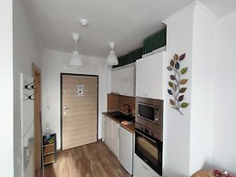 One room apartment