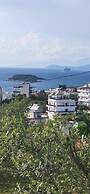 Vila Bashkim