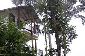 Hill Forest Cottage