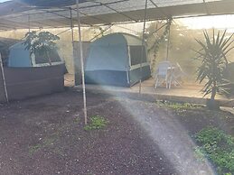 Agrocamping Invernaderito
