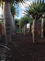 Agrocamping Invernaderito