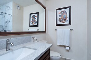 Sonoran Sun II