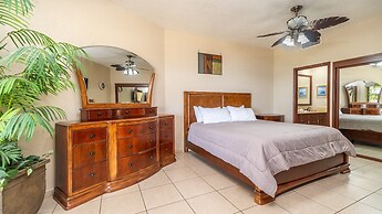 Sonoran Sun II