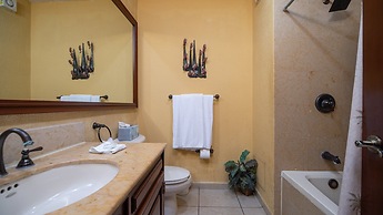 Sonoran Sun III