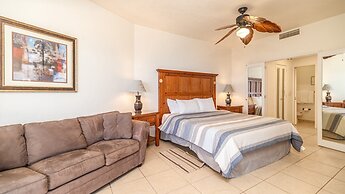 Sonoran Sun IV
