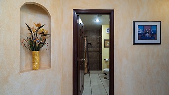 Sonoran Sun IV