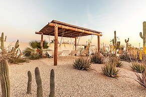 Hidden Leaf Baja Estate