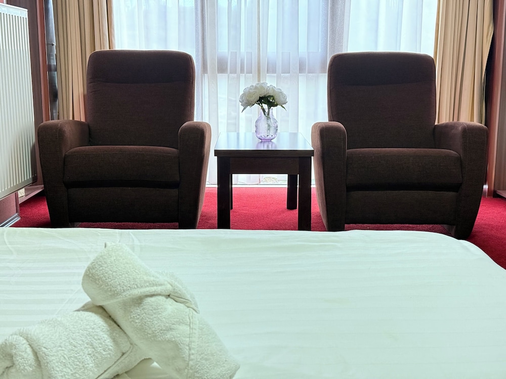 Q Art Severus Hotel