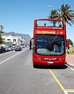 Urban Elephant Express The Flamingo