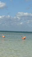 sunsteps casa holbox
