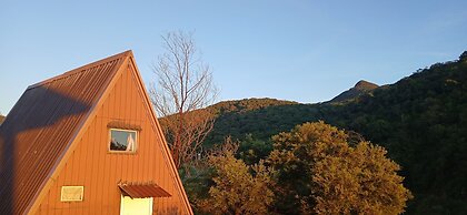 Lodge Ambewela