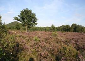Zutendaal Forest Retreat