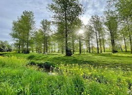 Zutendaal Forest Retreat