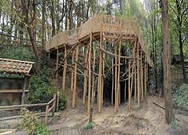 Zutendaal Forest Retreat