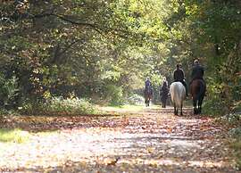 Zutendaal Forest Retreat