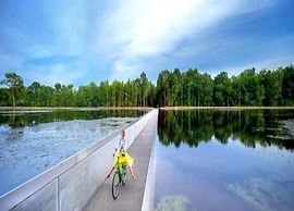 Zutendaal Forest Retreat