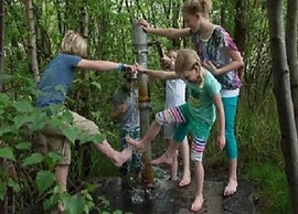 Zutendaal Forest Retreat