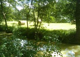 Oakwood Hideaway Stay