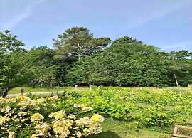 Oakwood Hideaway Stay