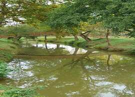 Oakwood Hideaway Stay