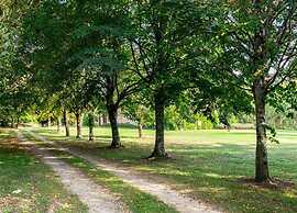 Oakwood Hideaway Stay