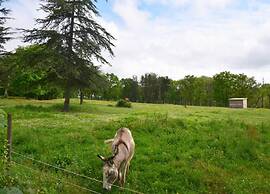 Oakwood Hideaway Stay