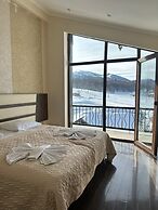 Travel Inn Bakuriani
