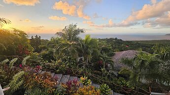 Araya Resort