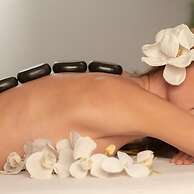 MGM Wellness Retreat