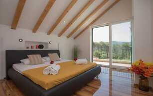 Vila P