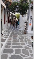 Old Town Traditional House
