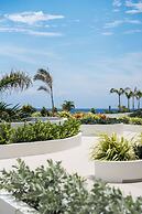 ONE Mambo by Bocobay